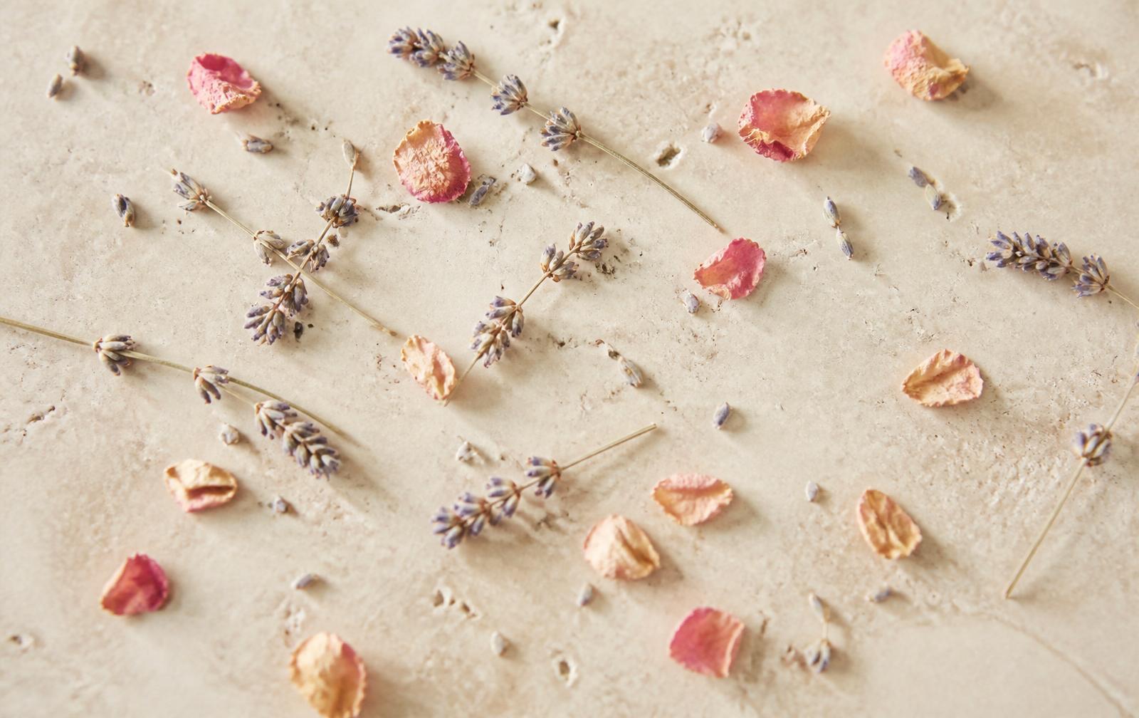 Rose petals and lavender with morning dew